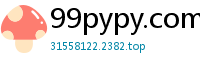 99pypy.com